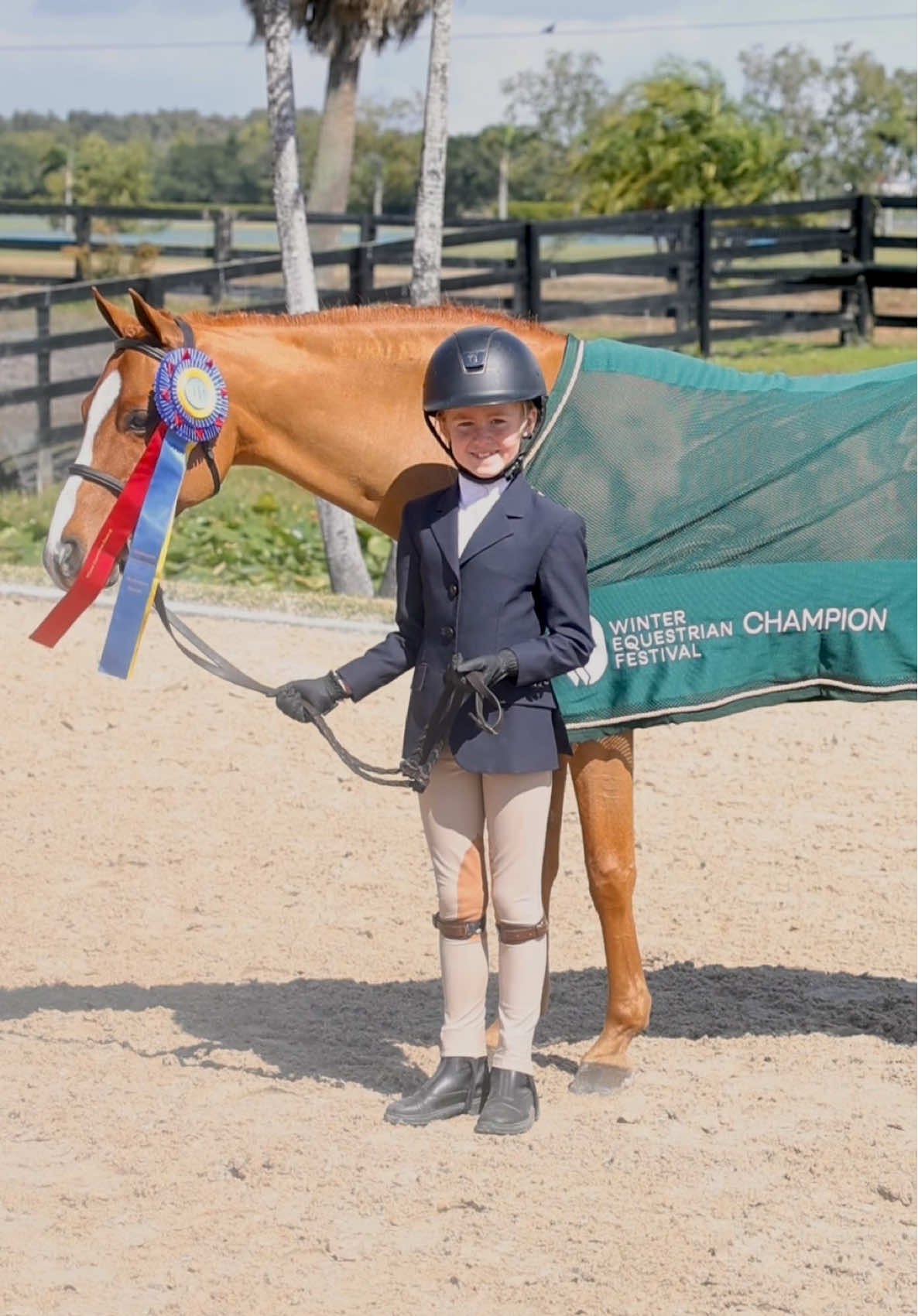 @ckponies