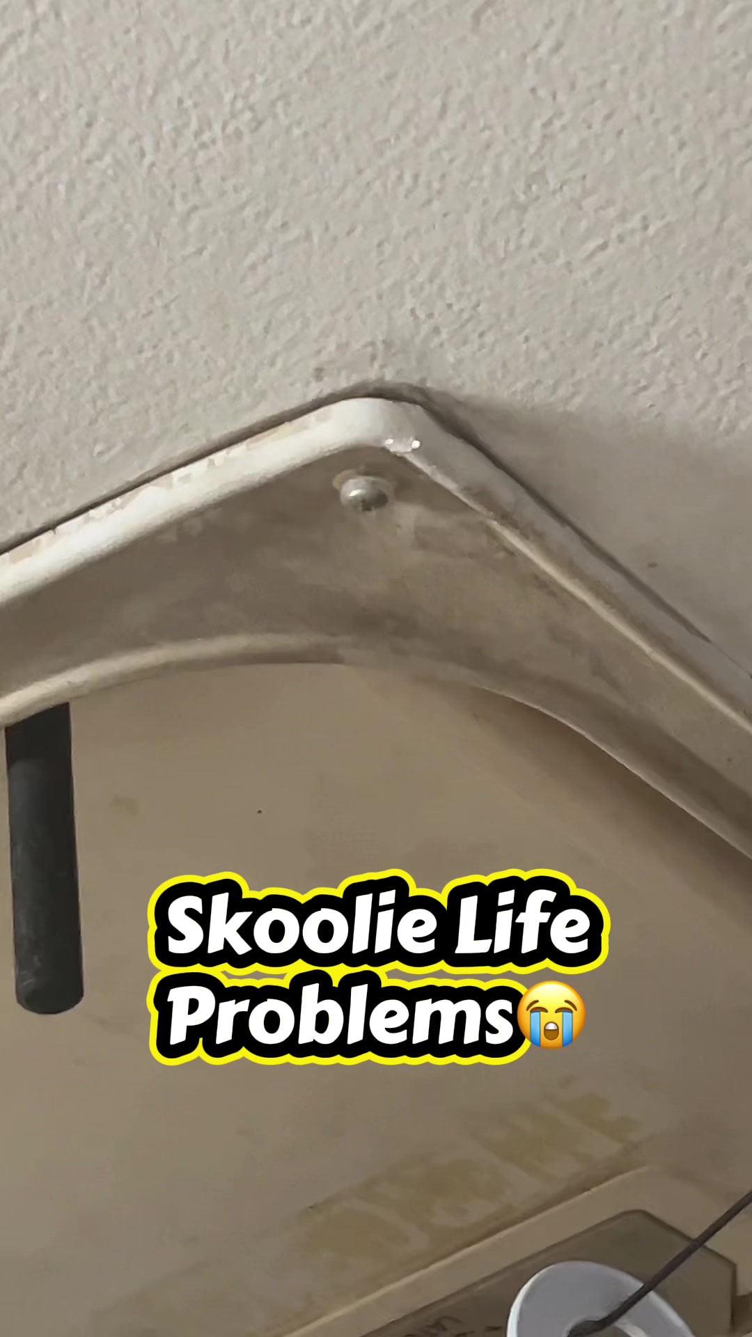 @eclecticshawn