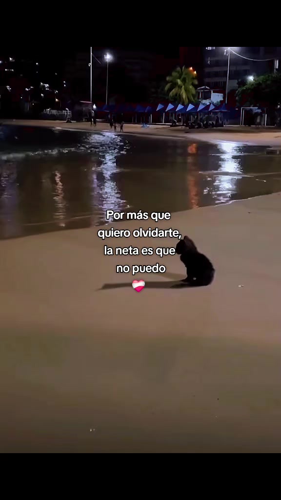 @FRASES🧃