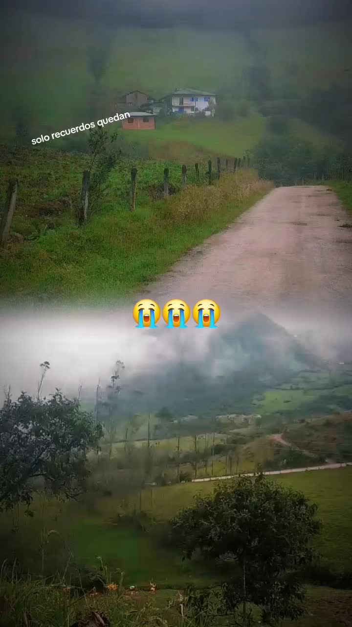 @tu chiquita visnay