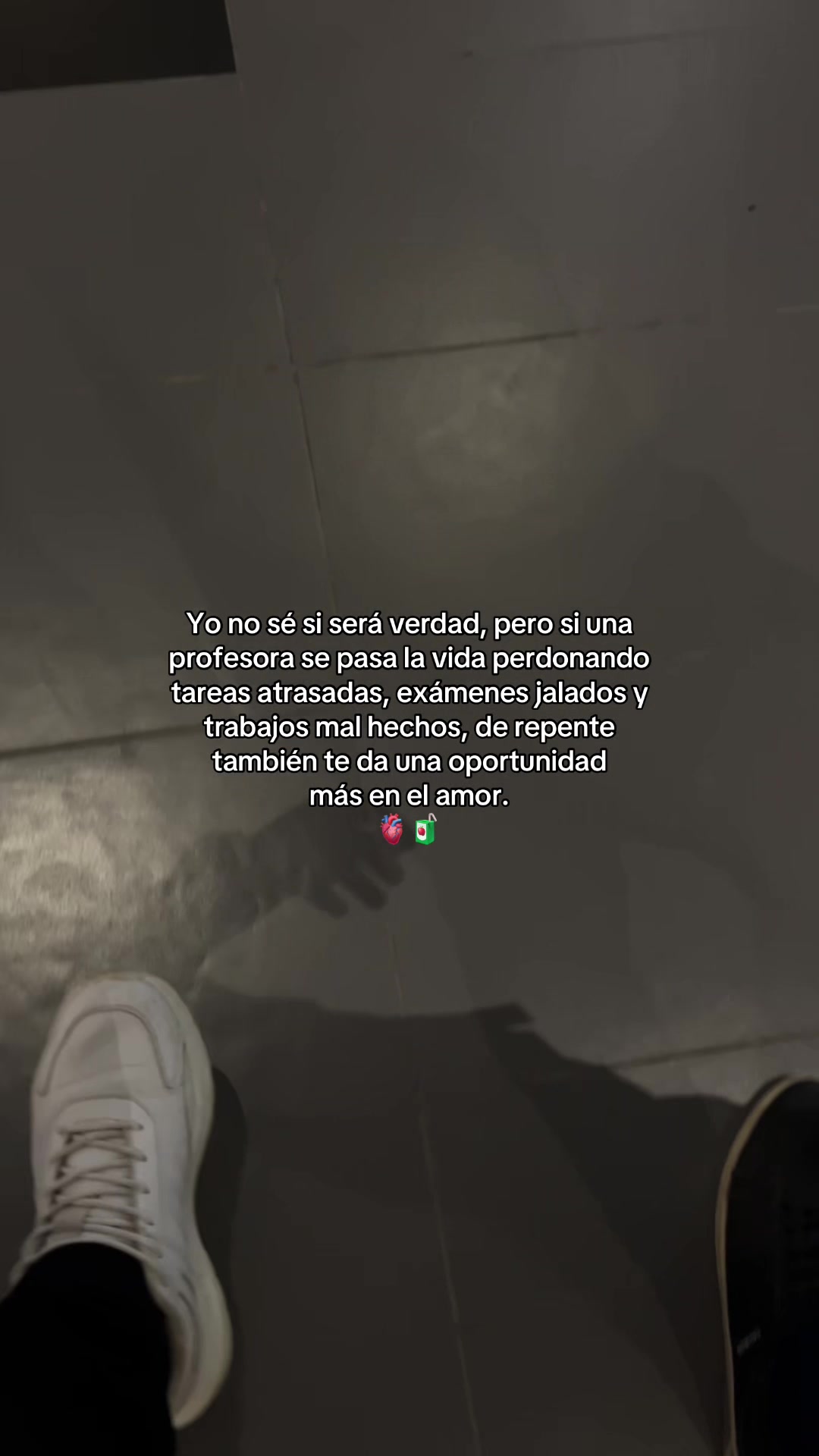 @Gatocix 🐱