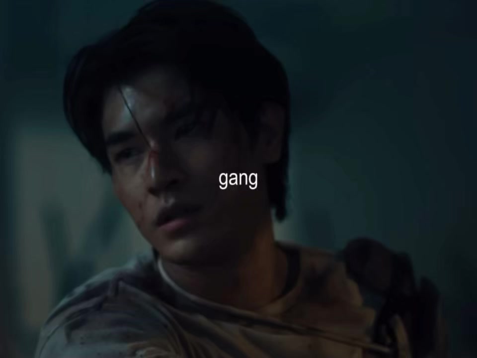 @raia