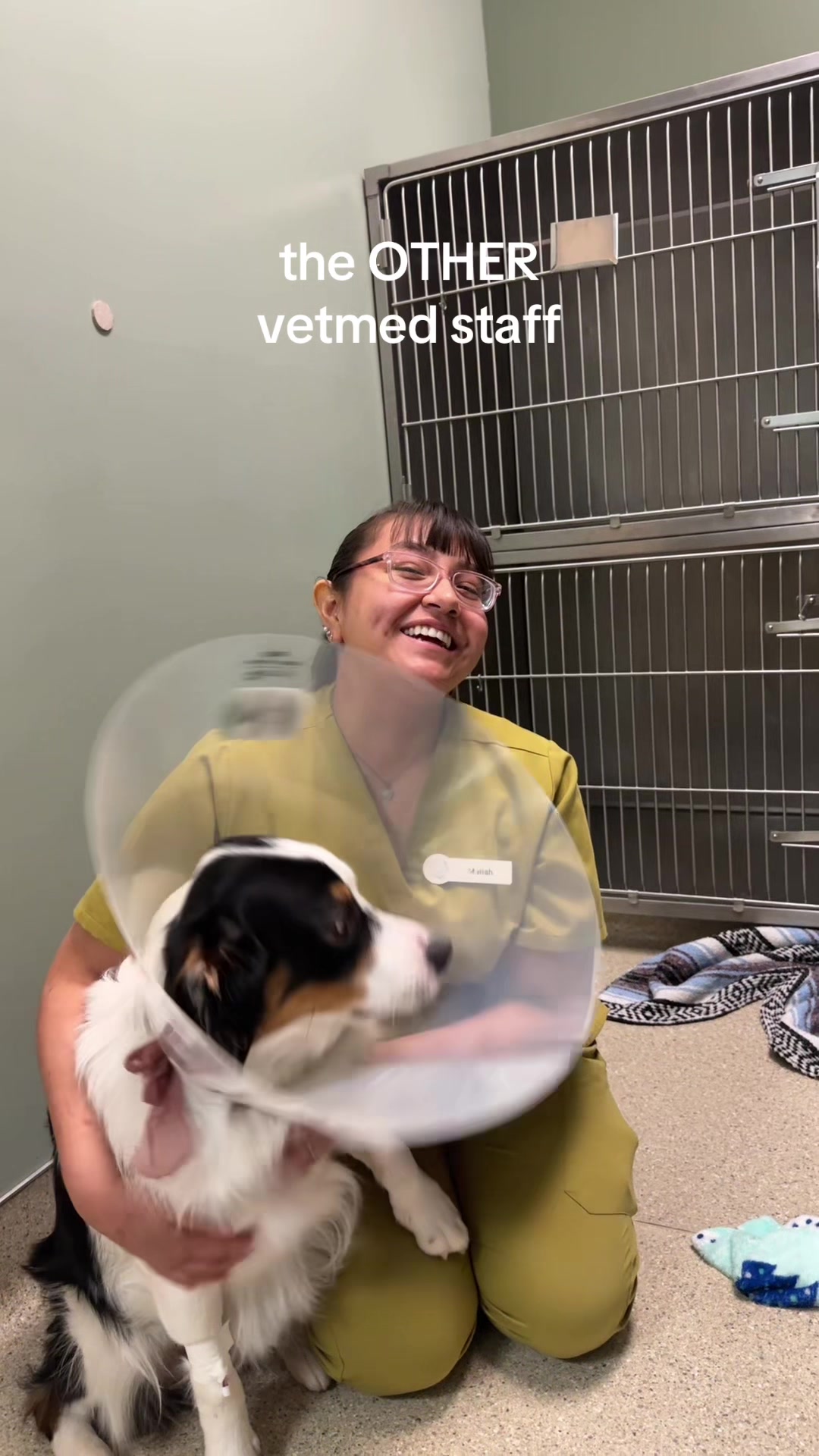 @Dreaming Summit Animal Hosp