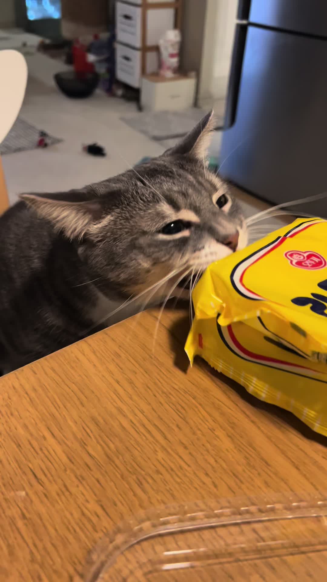 @็ซใฎใใ๐ฑ