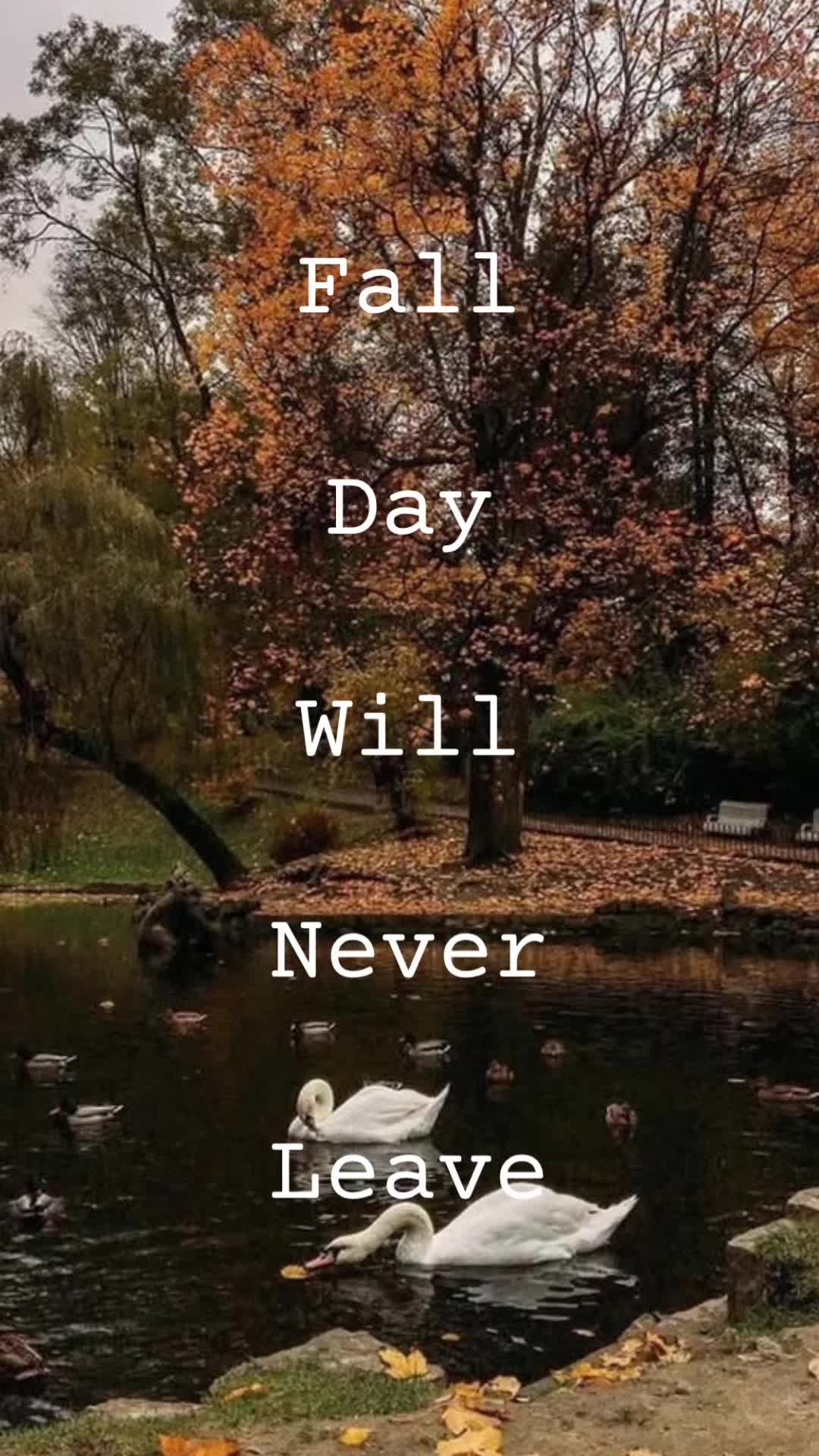 @ðððð4ððð_ð ð§âš