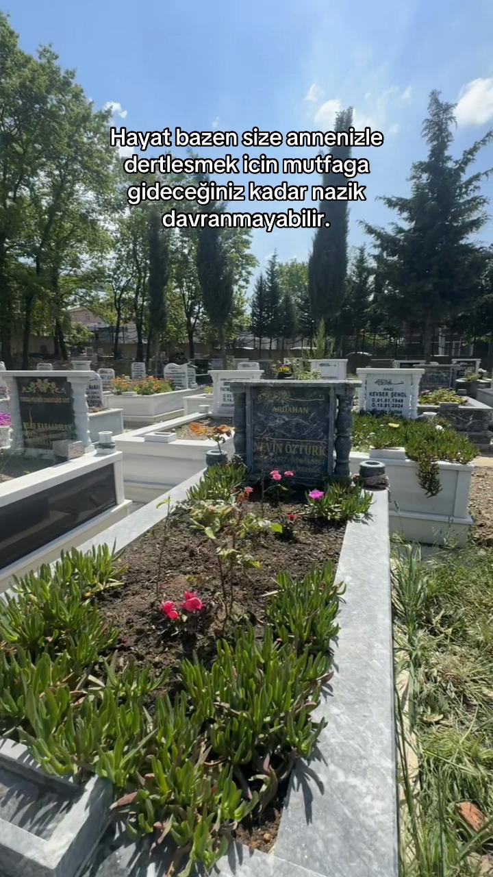 @Aleyna Öztürk
