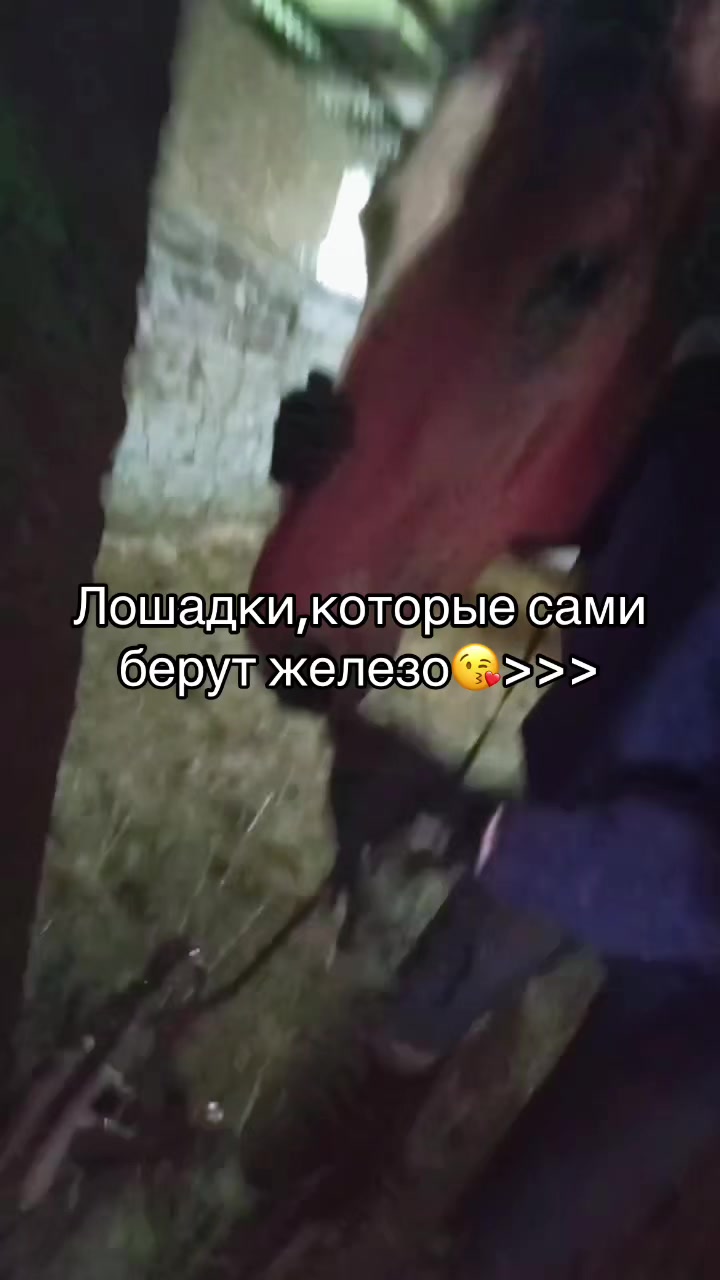 @Ли🐴