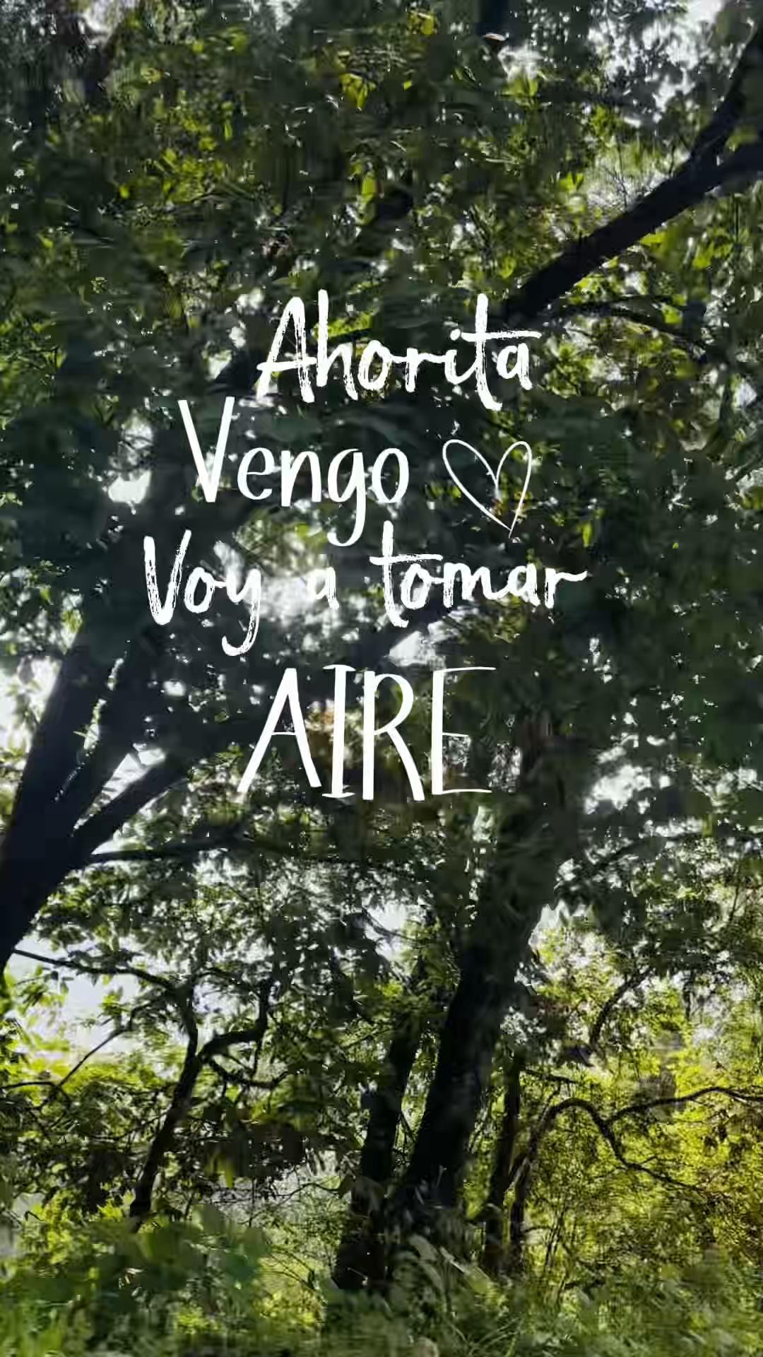 @Yare lugo