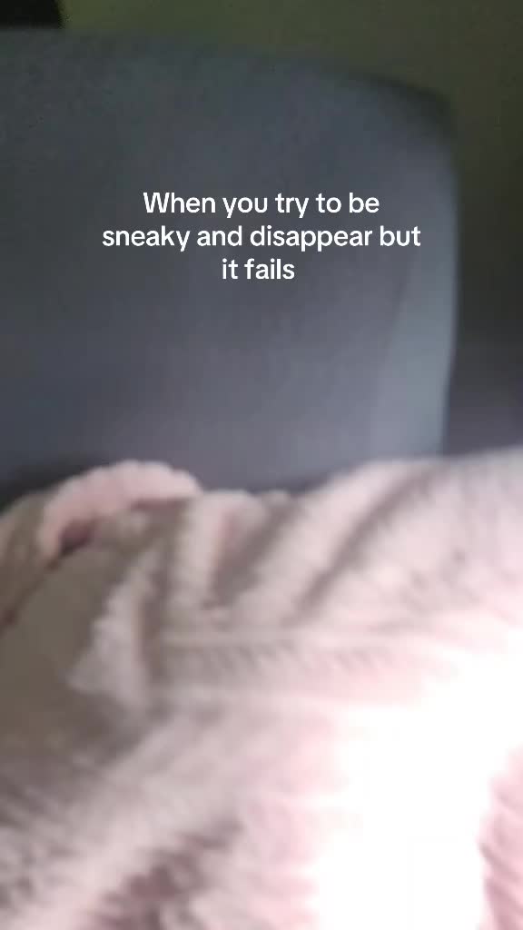 @Sproutie 🐶
