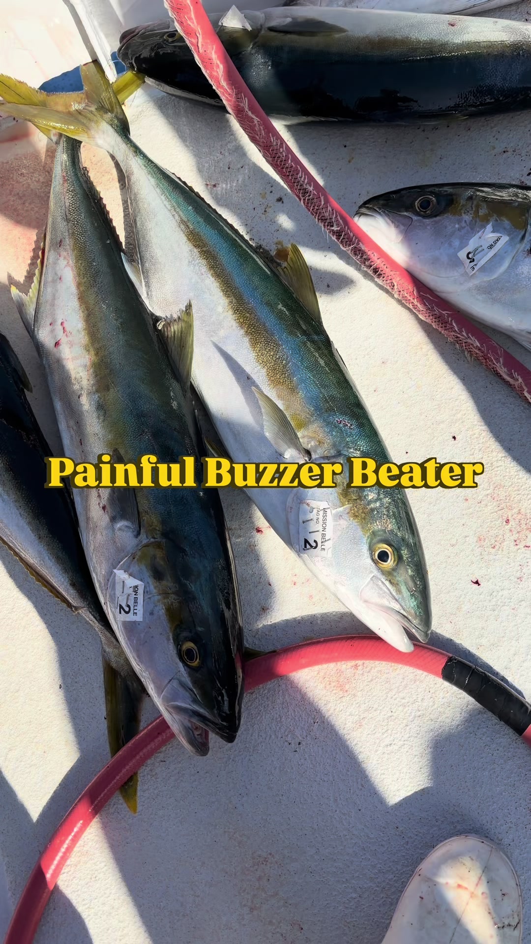 @BP FISHING