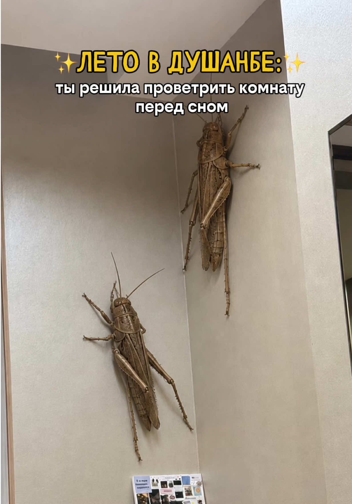 @анни! ☆
