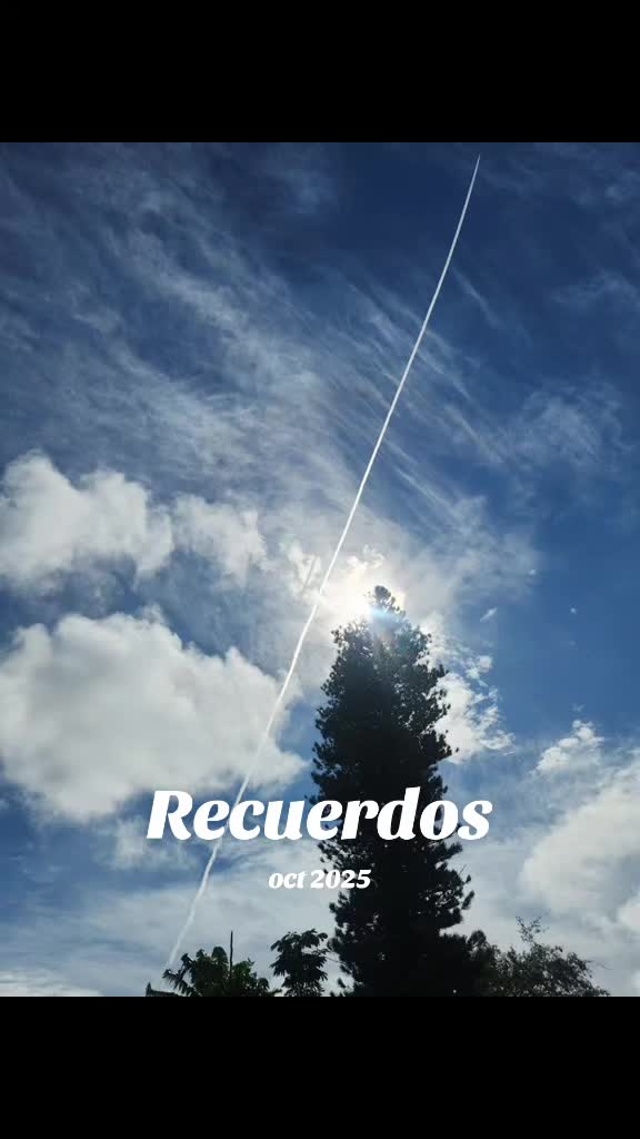 @Alm@corazonyvida