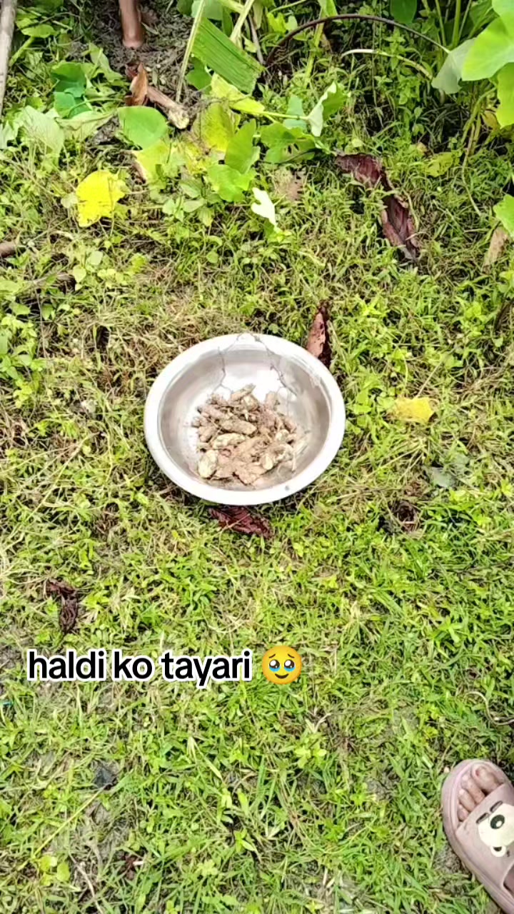 @✨budha 😽ko ladli moh💥