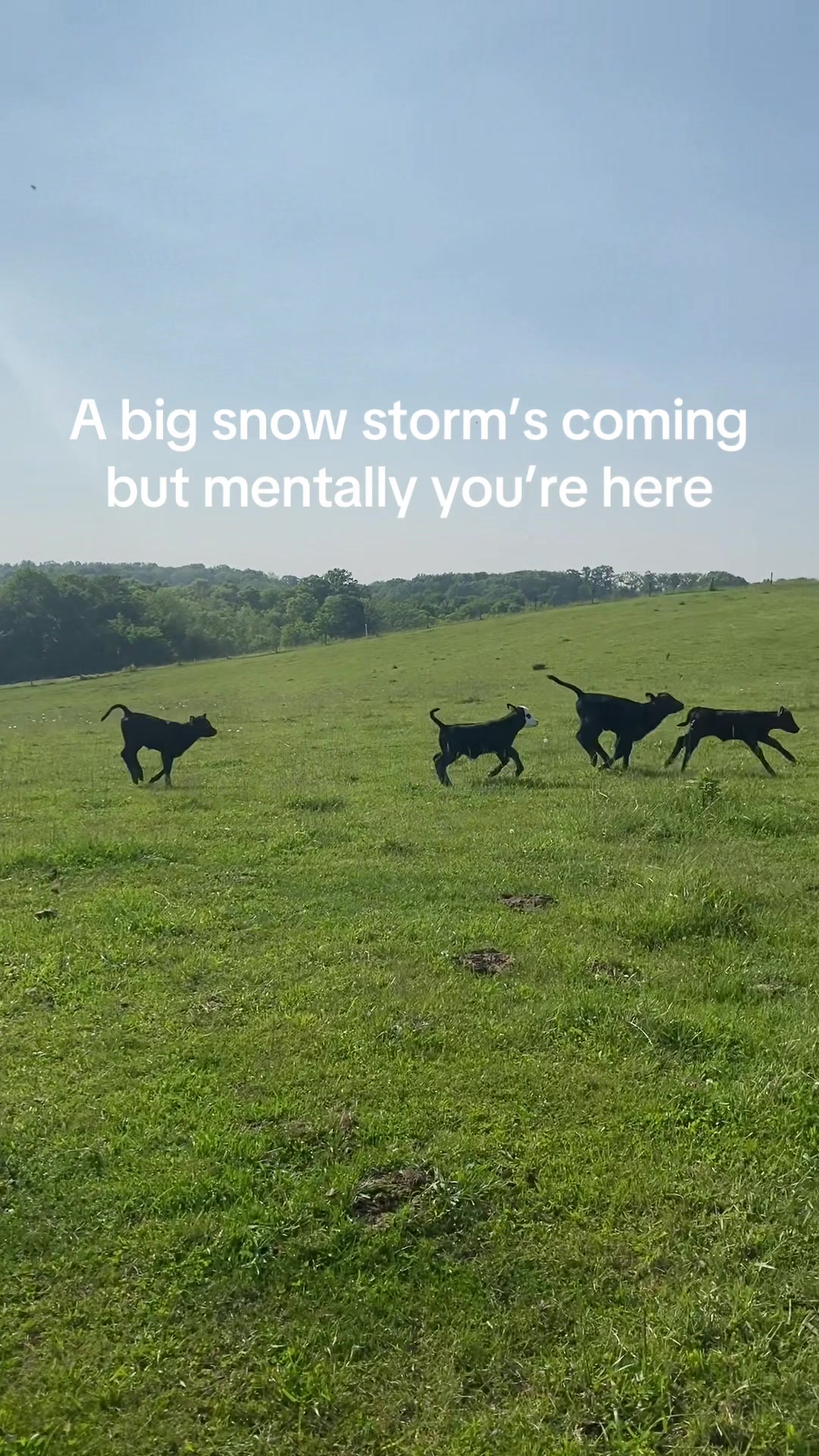 @Strong Family Farms