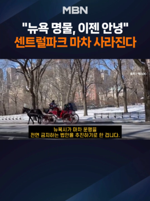 @MBN NEWS