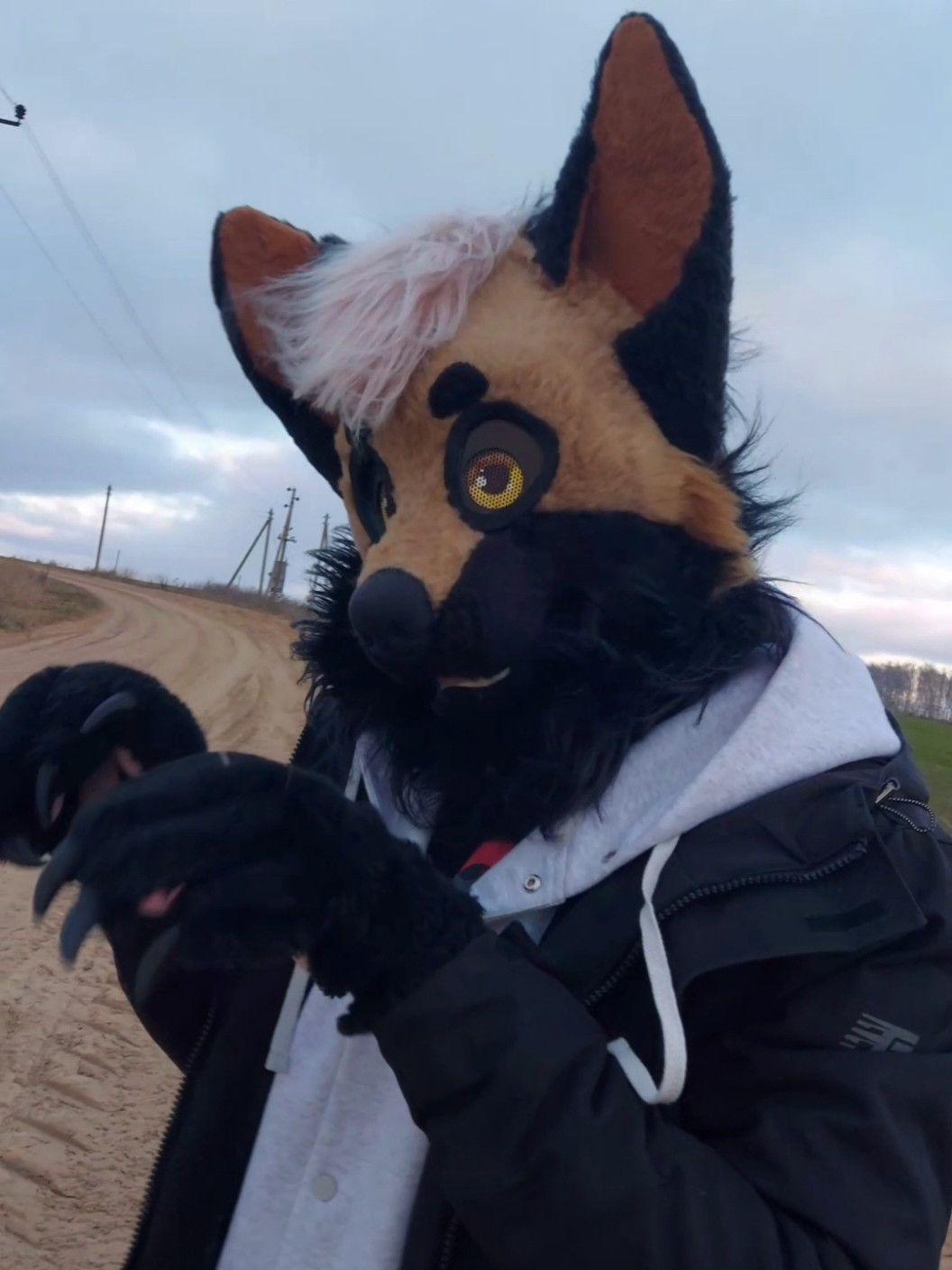@RUSTY#WingedFox