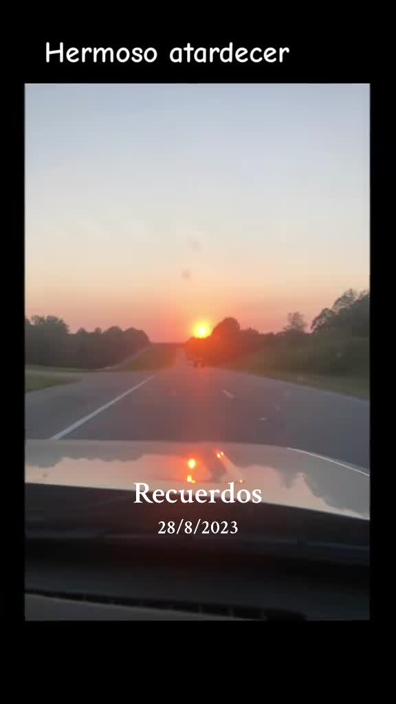 @Inesfloresg8129