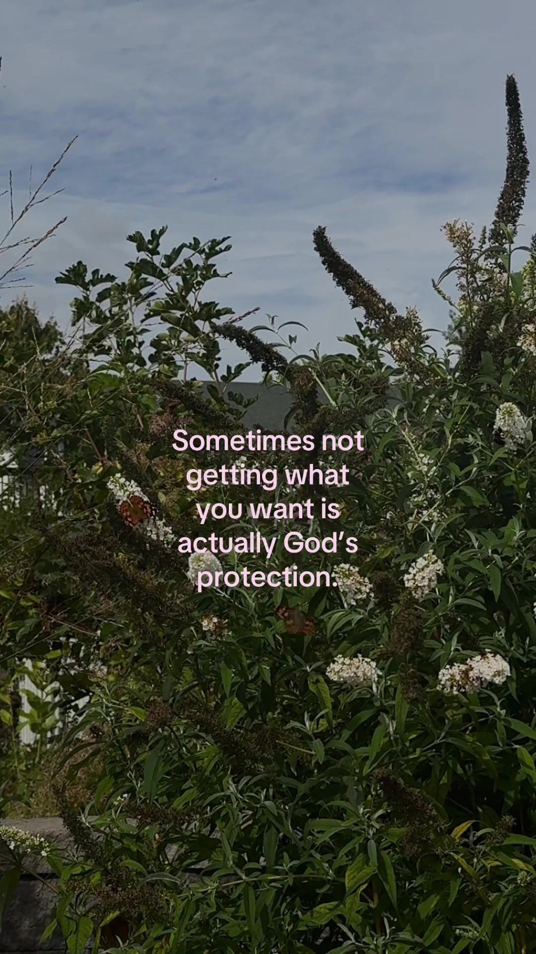 @ℒ ᥫ᭡