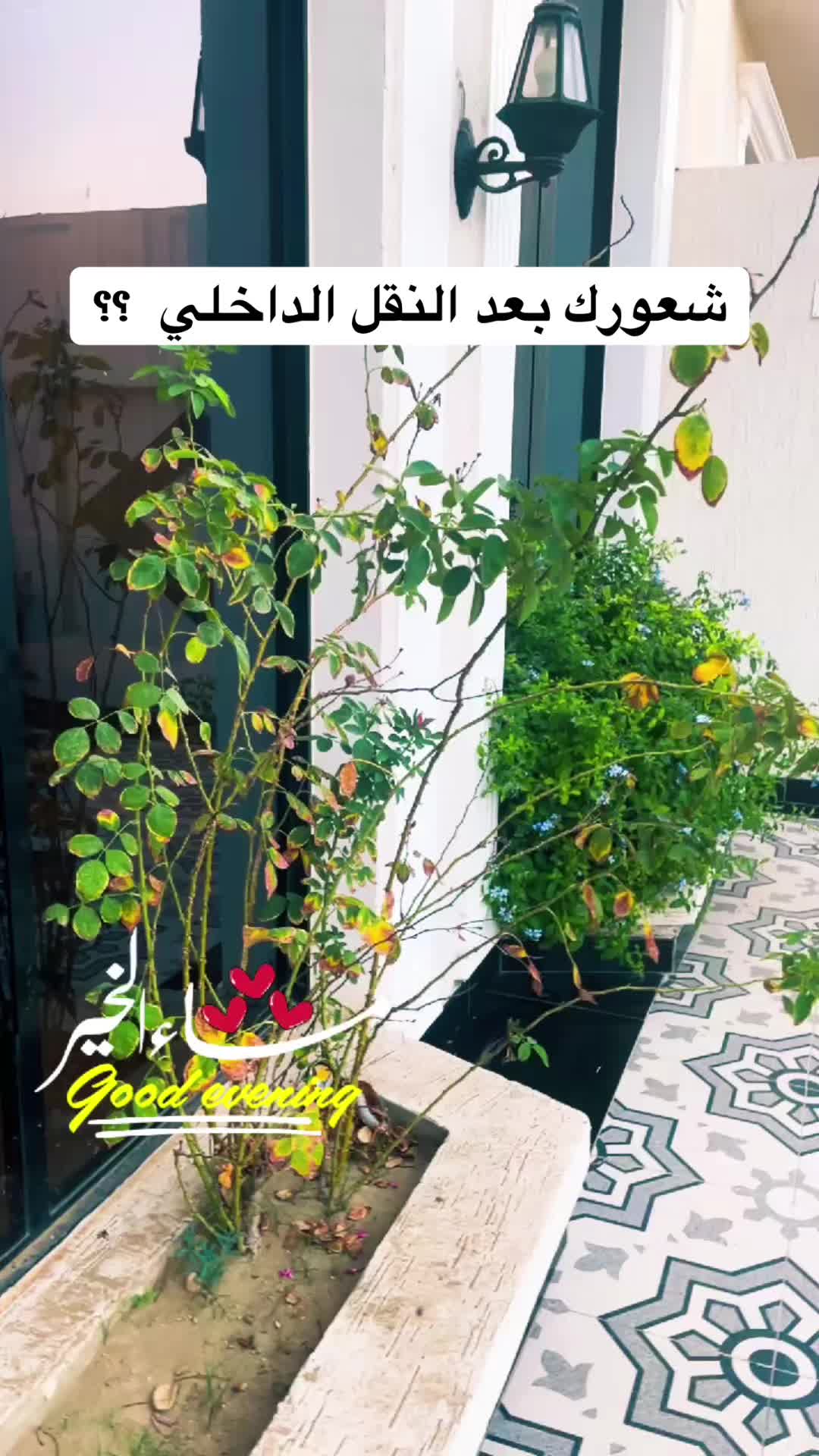 @مها الطايف