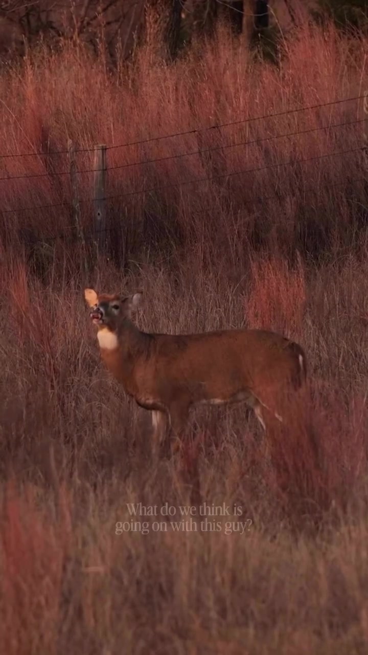 @Buckmasters Outdoors