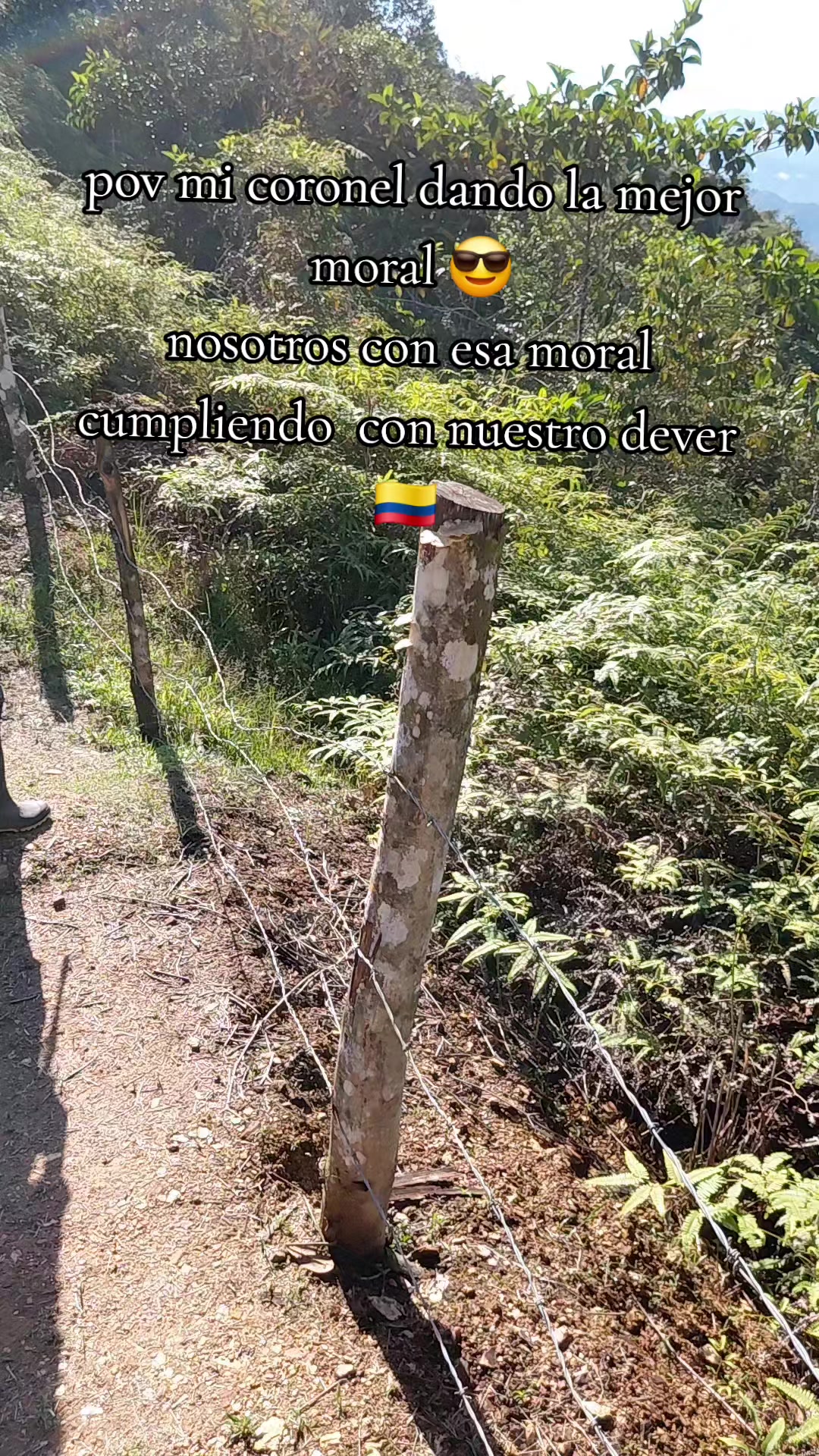 @ 🥷🇨🇴