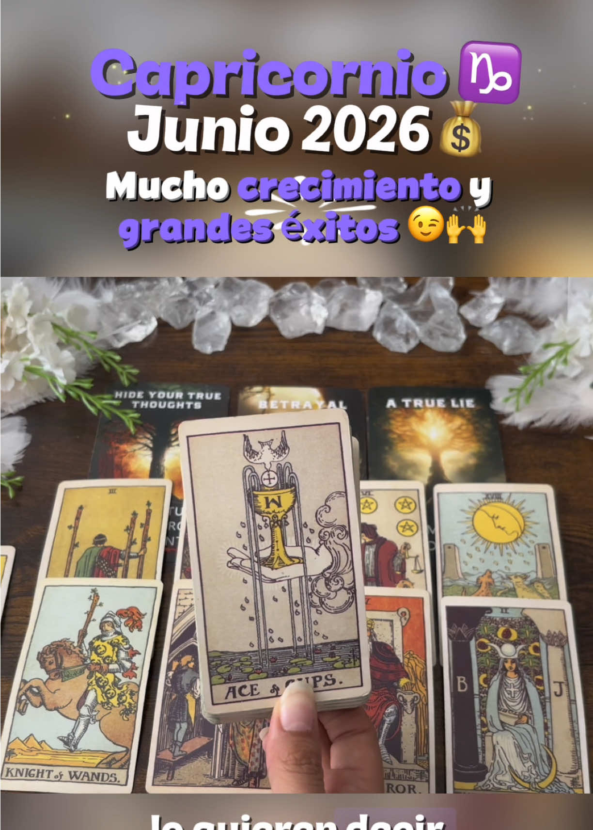 @Andy Sun Tarot ☀️