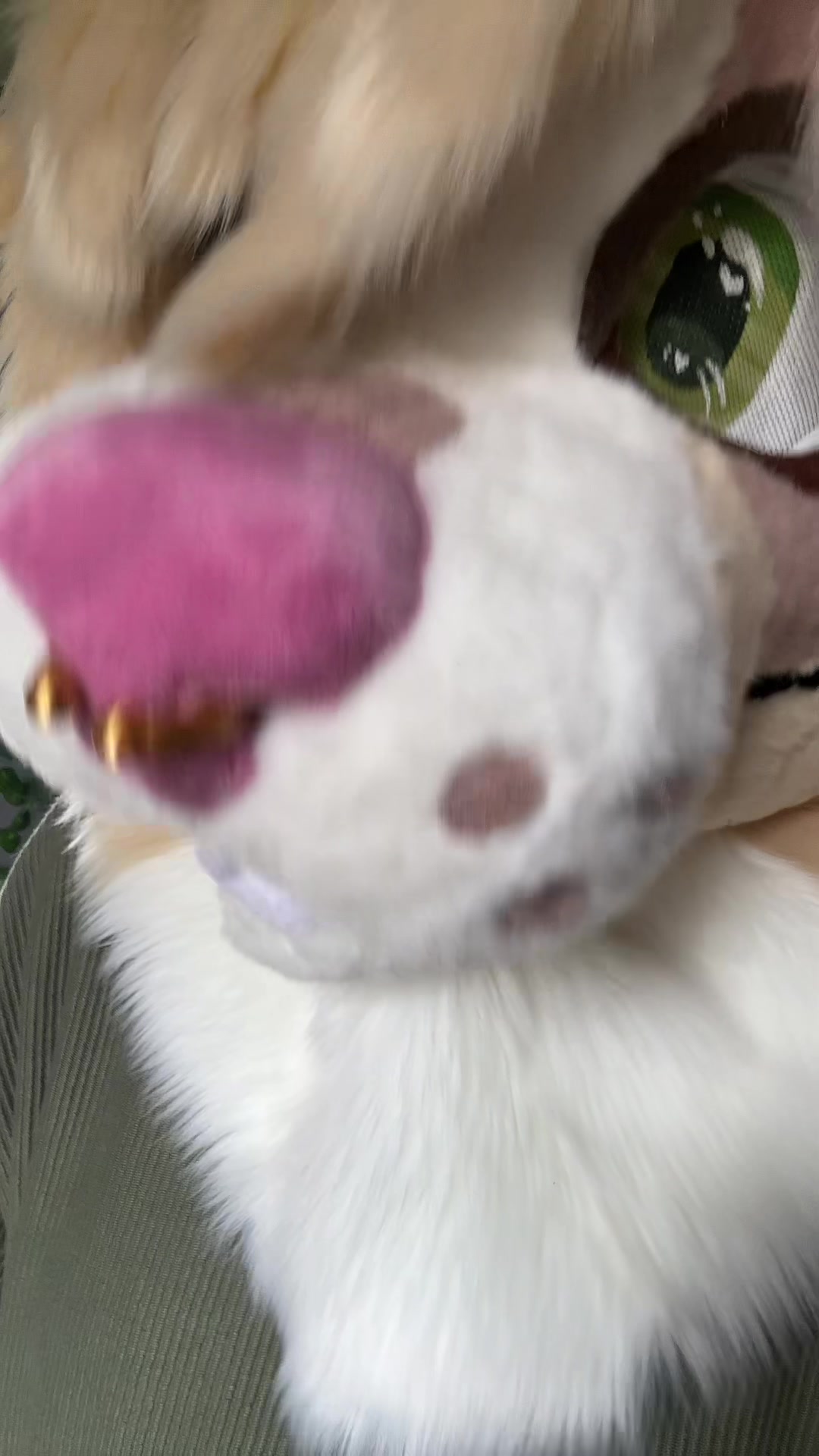 @undead.mutt