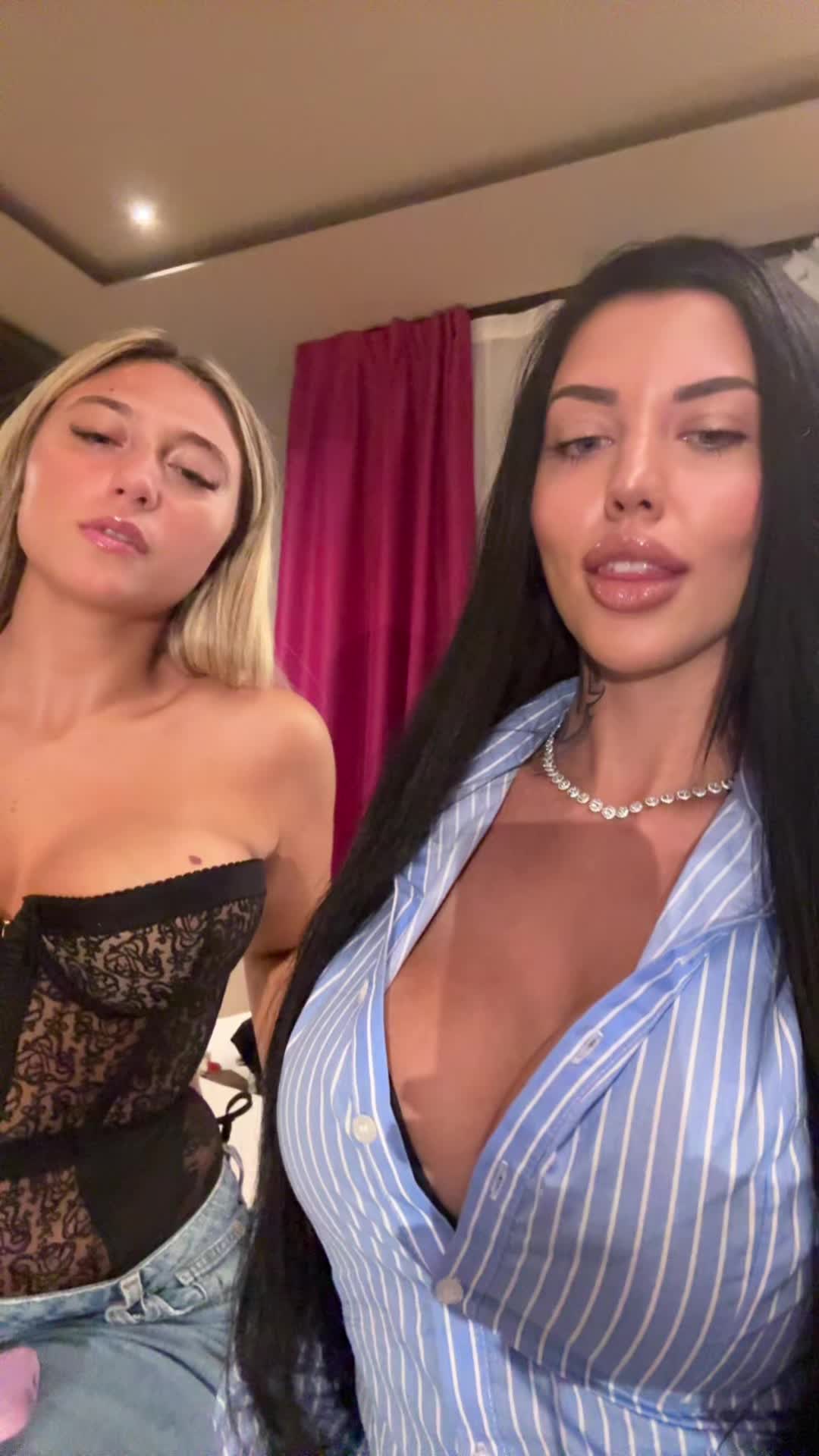 @GAIA🦇