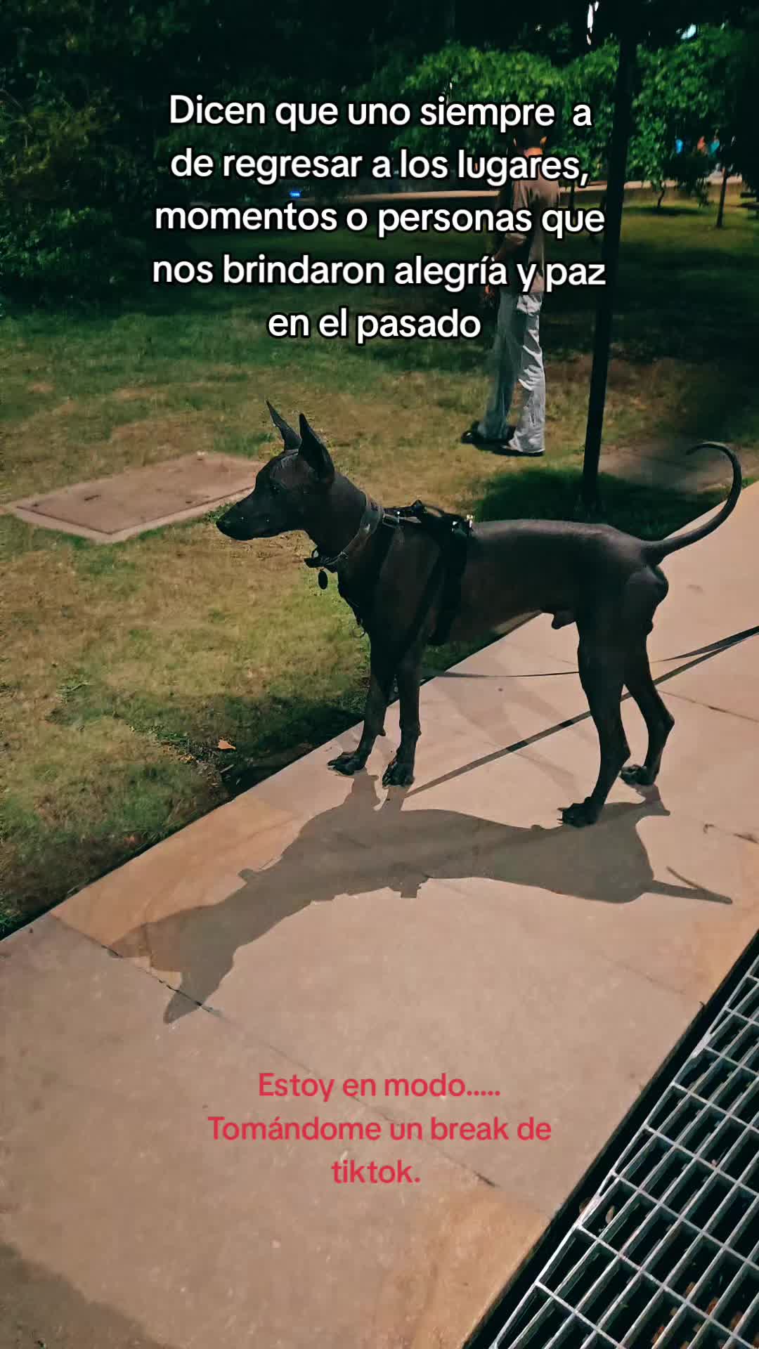 @Luna