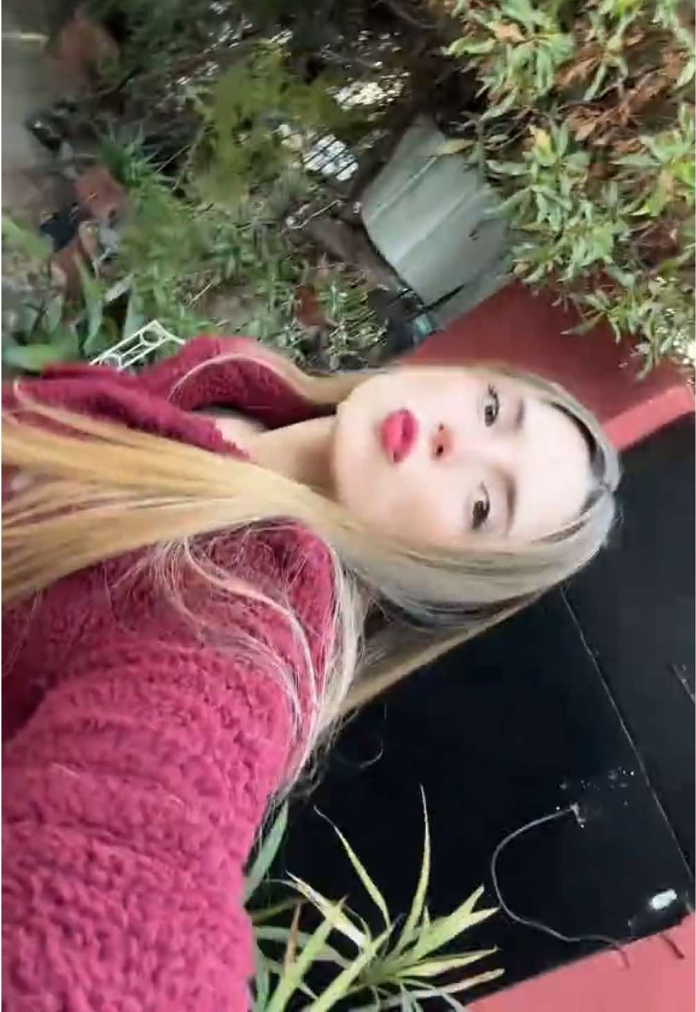 @Pierangela Quercia