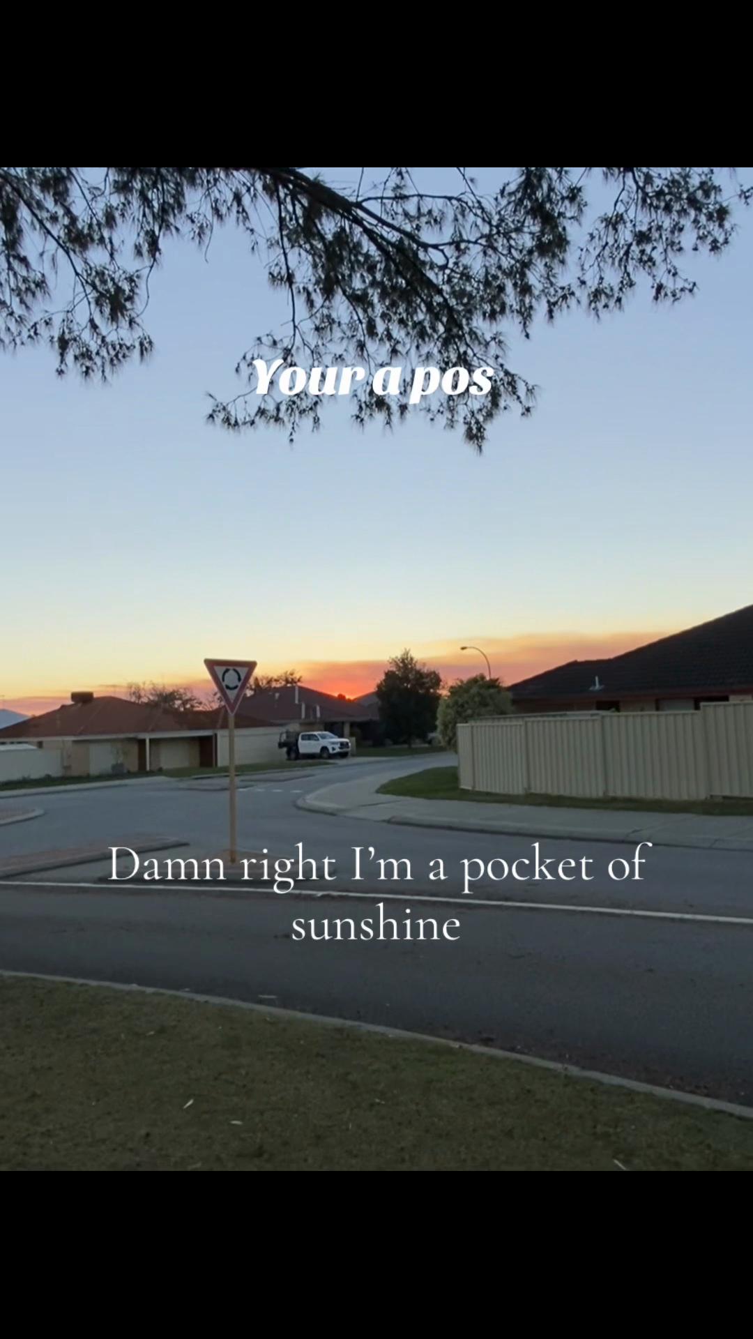 @bmxbic