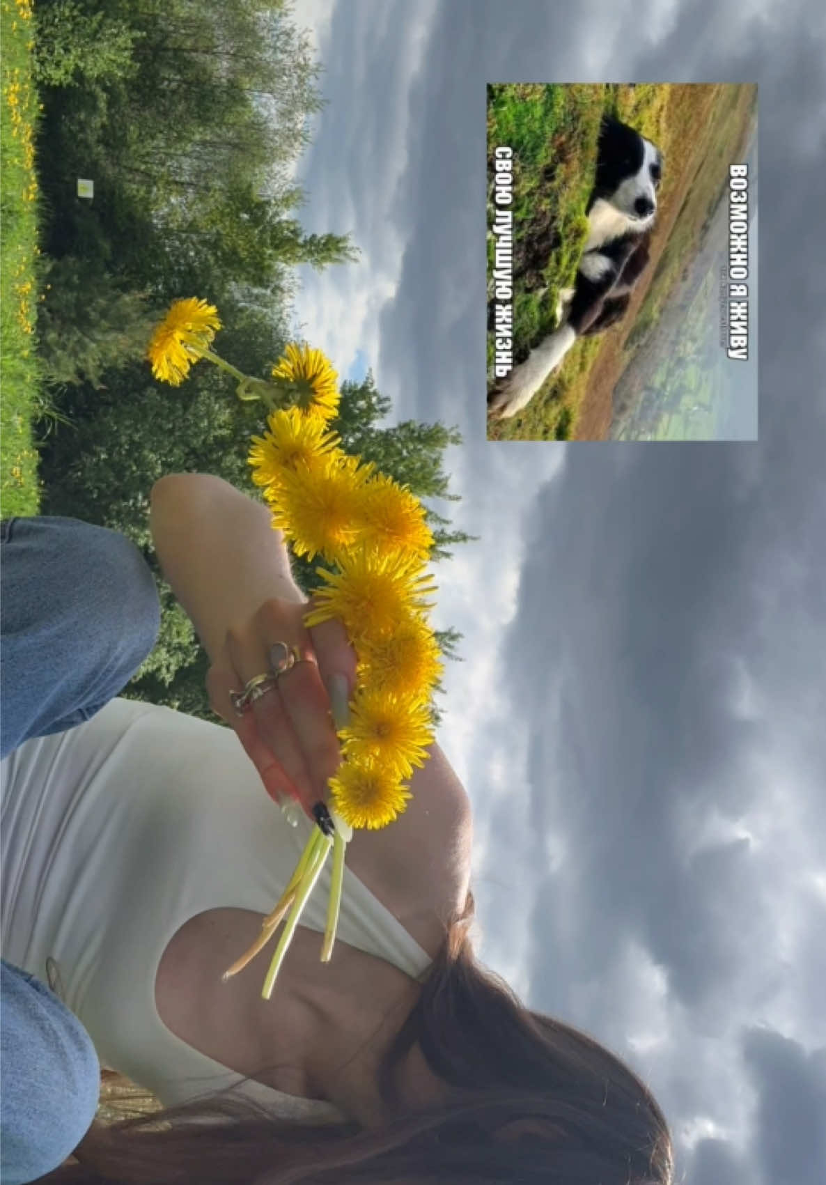 @алена к