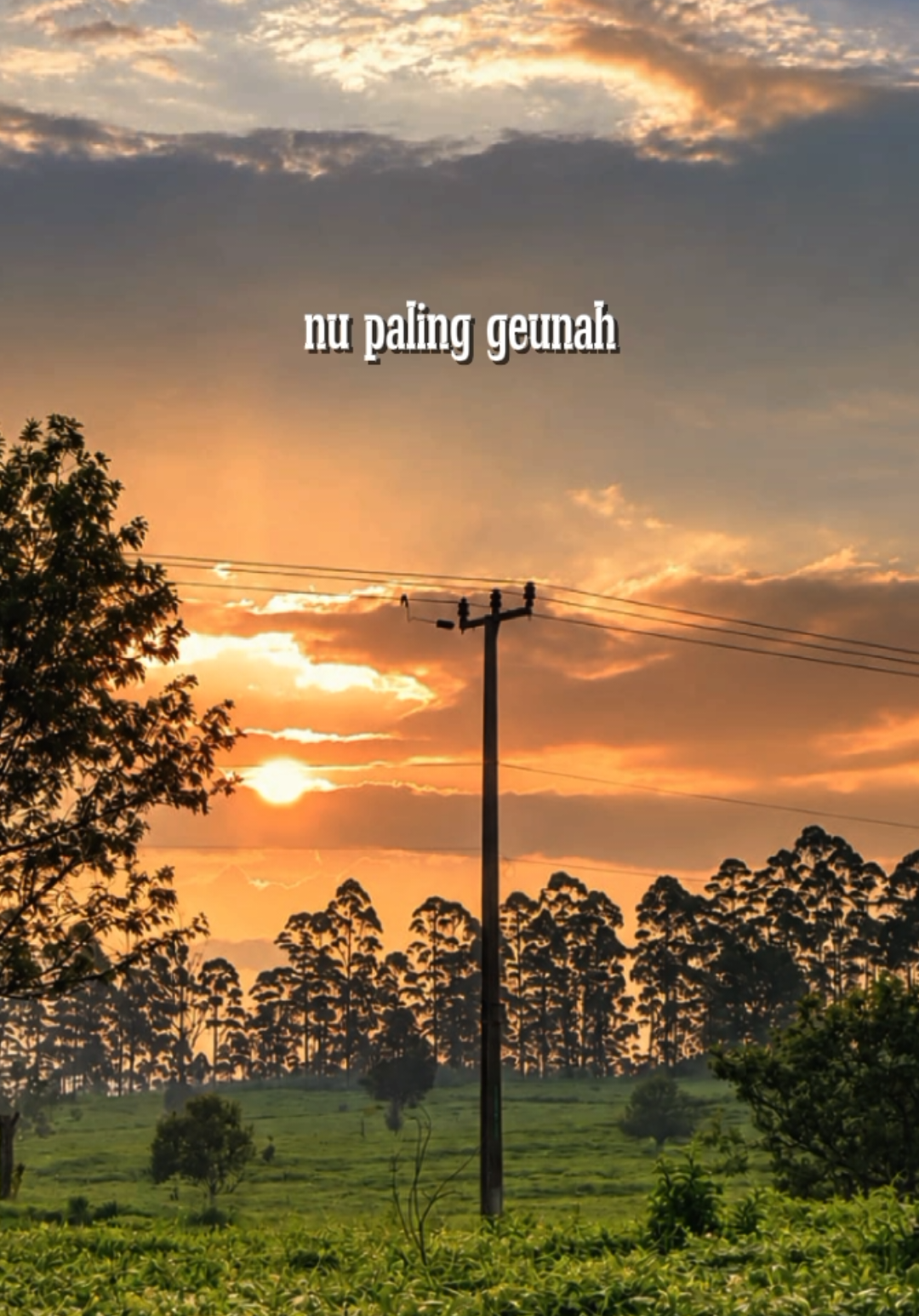 @𝗣𝗲𝘀𝗼𝗻𝗮 𝗗𝗲𝘀𝗮 🍃