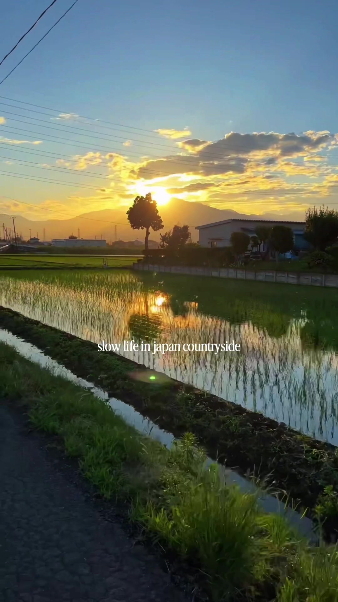 @Japan Yasumi