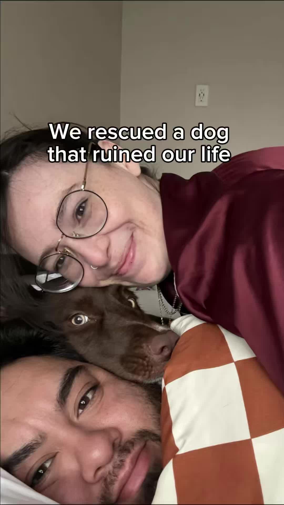 @forthedogs