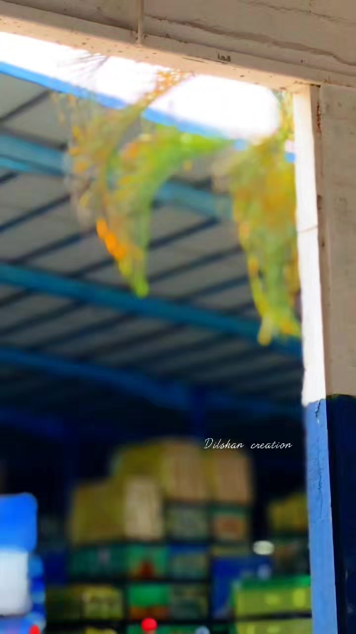 @_Dilshan_❤️