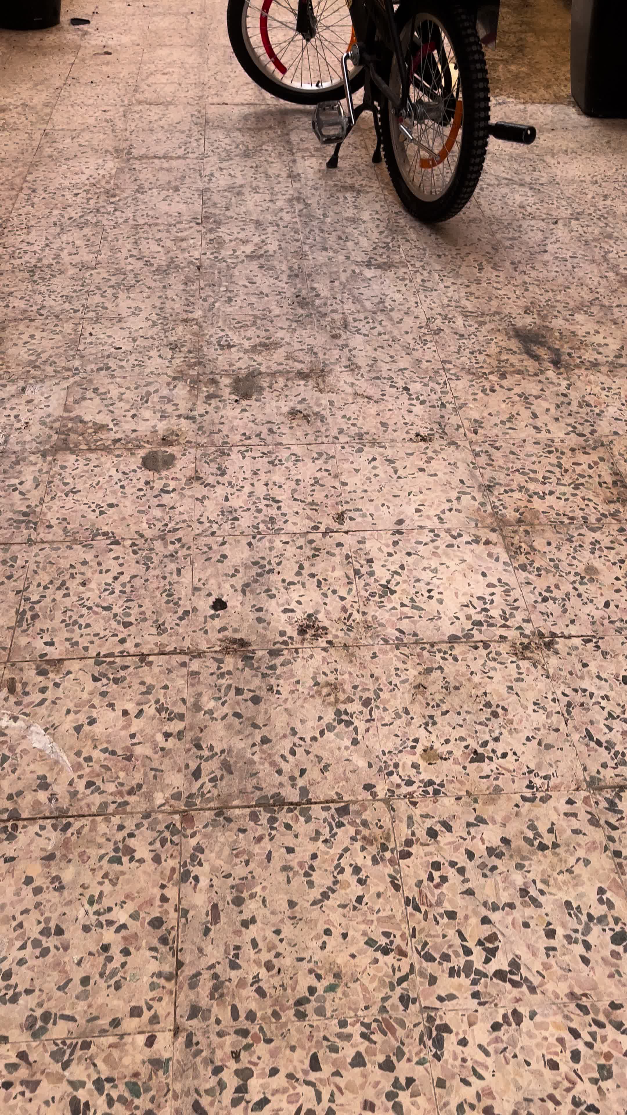 @راعي الأسود 🕶️