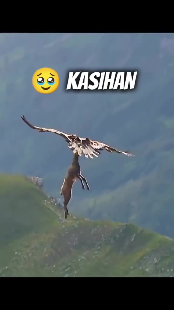 @waroeng.id