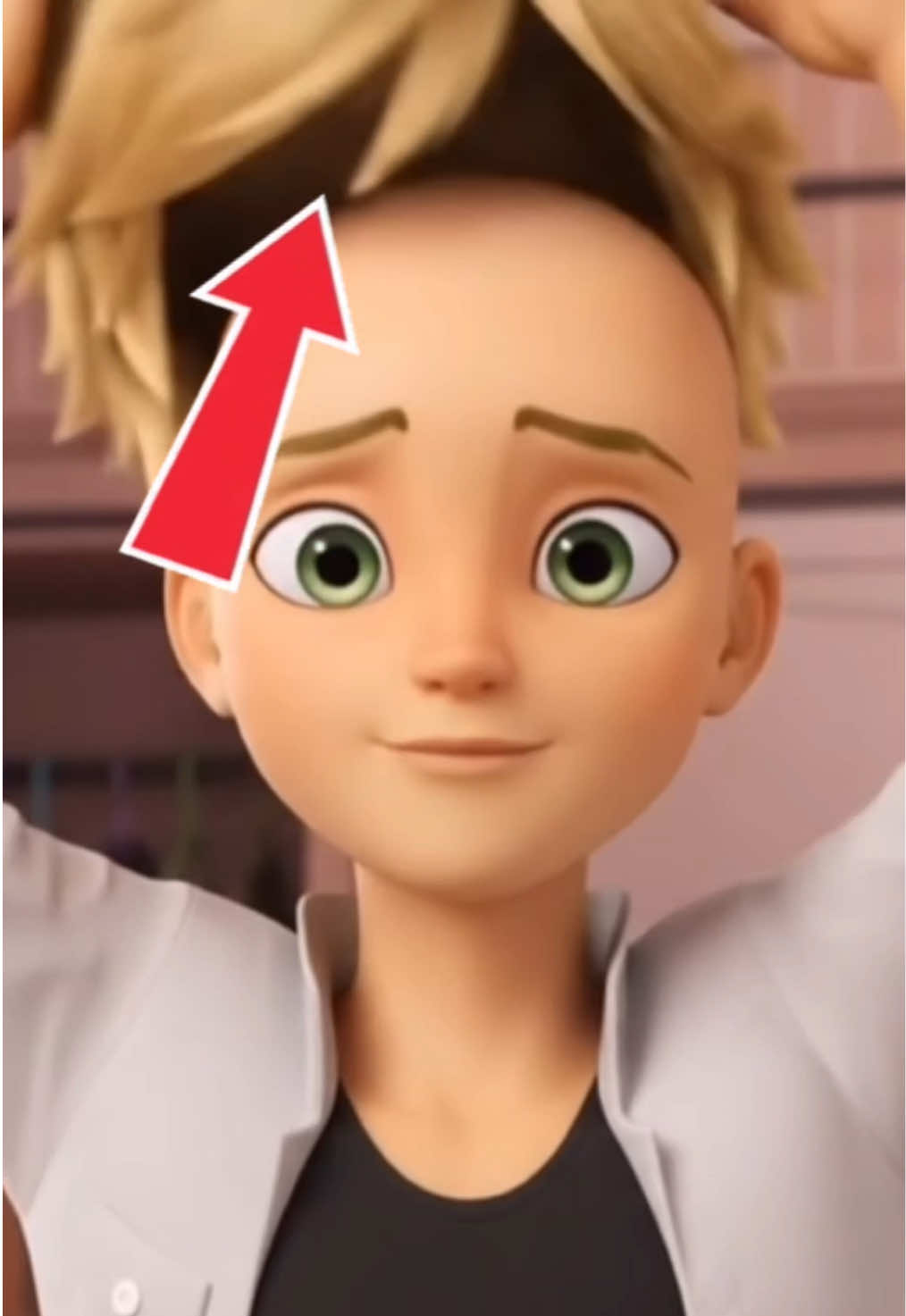 @Sección Kitty