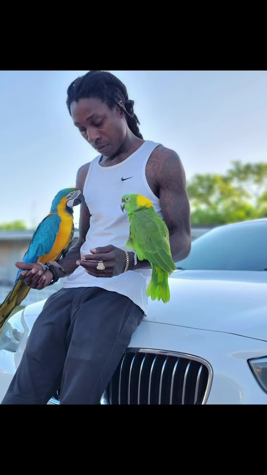 @PalacePickney_Blackcowboy🤠