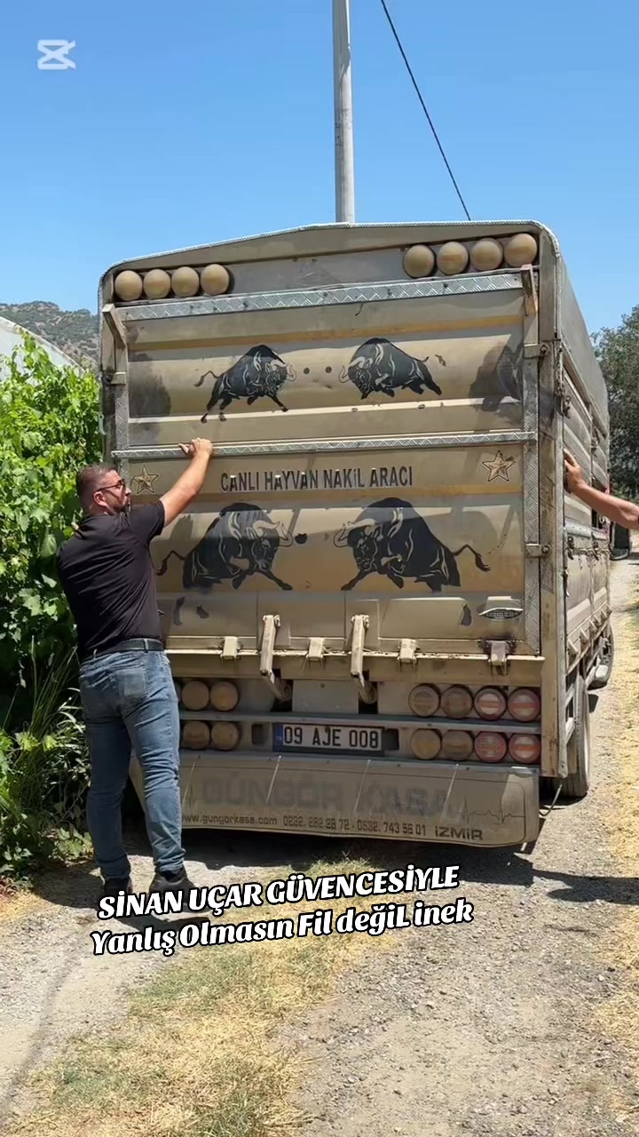 @CELEP SİNAN UÇAR