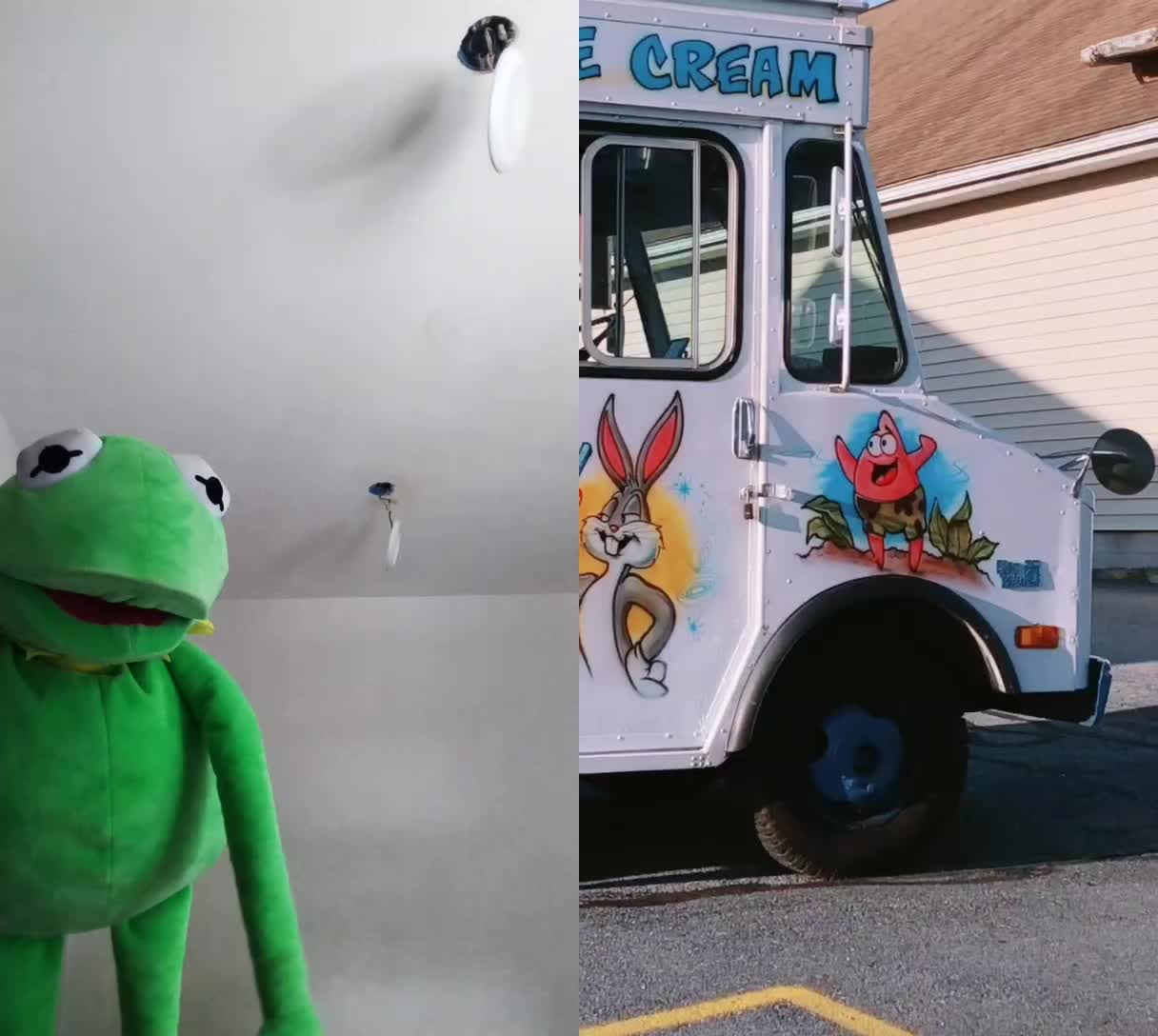 @Kermit The Frog Tiktok