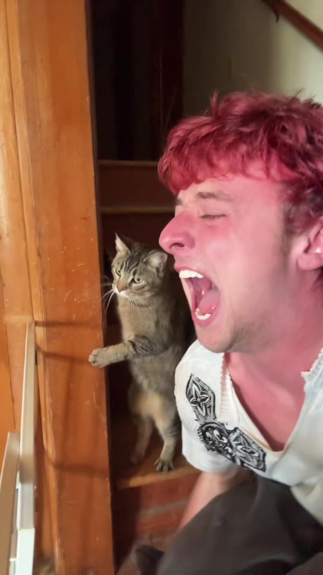@Grungycatdad