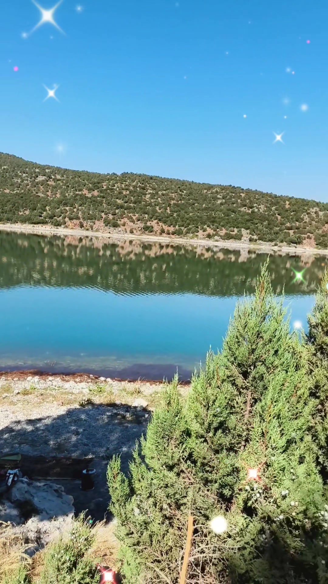@Dilekuysl1