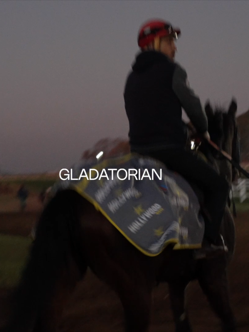 @Gallop TV