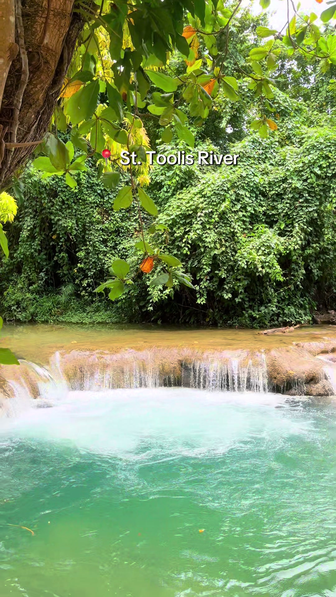 @shaneikatravels