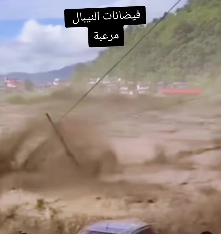 @الجنوب العربي
