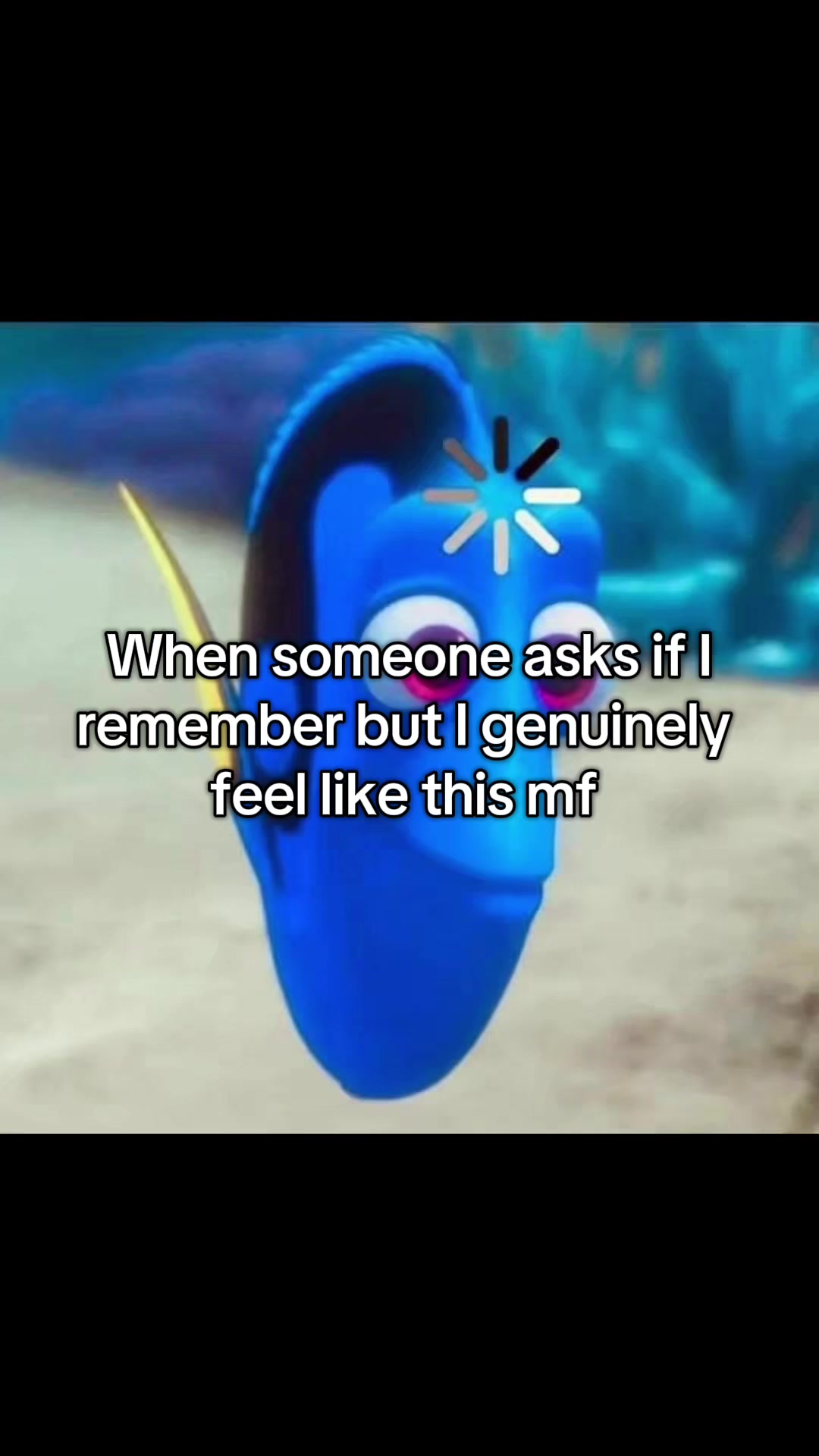 @*๐๐๐๐๐๐๐๐๐๐๐๐