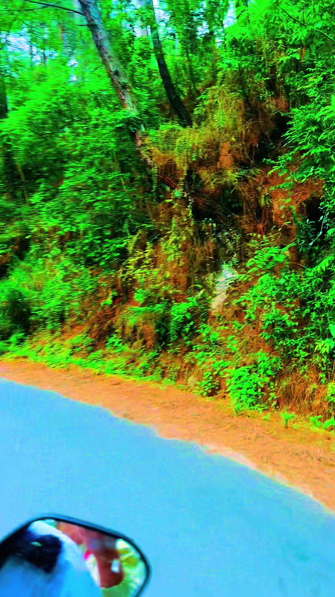 @Indira Limbu
