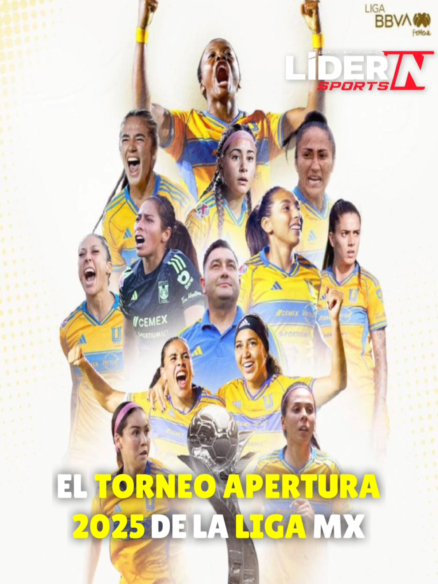 @Liderin INSPORTS